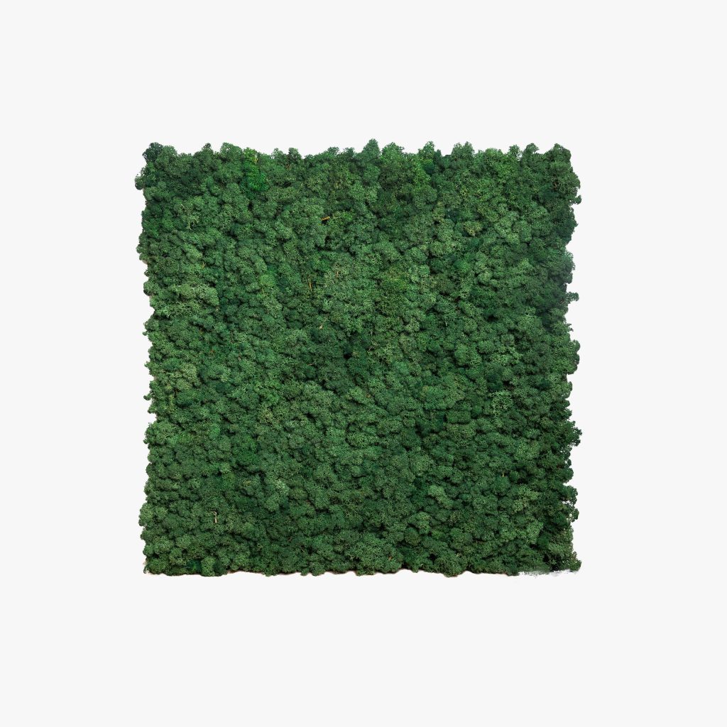 Moss Green panel 60x60