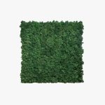 Moss Green panel 60x60