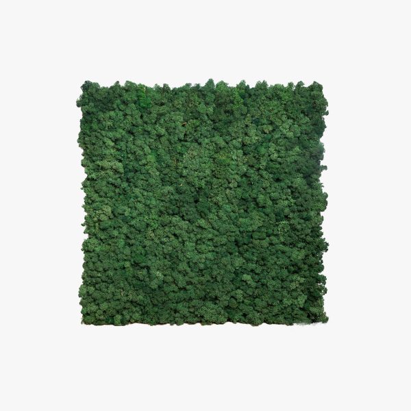 Moss Green panel 60x60