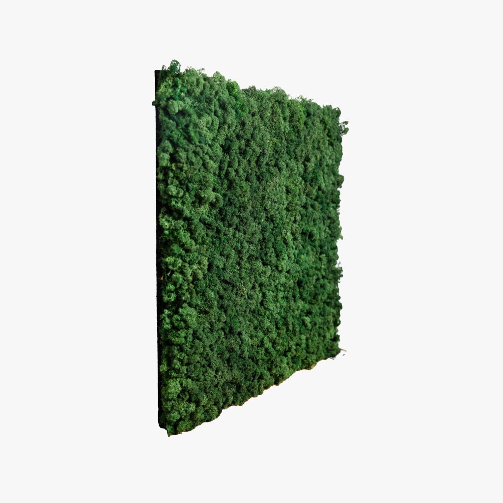 Moss Green panel 60x60