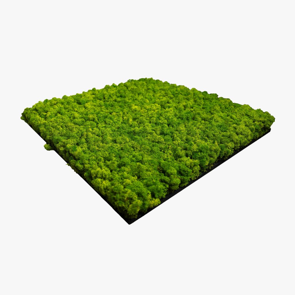 mosspanel-apple-green-tilted