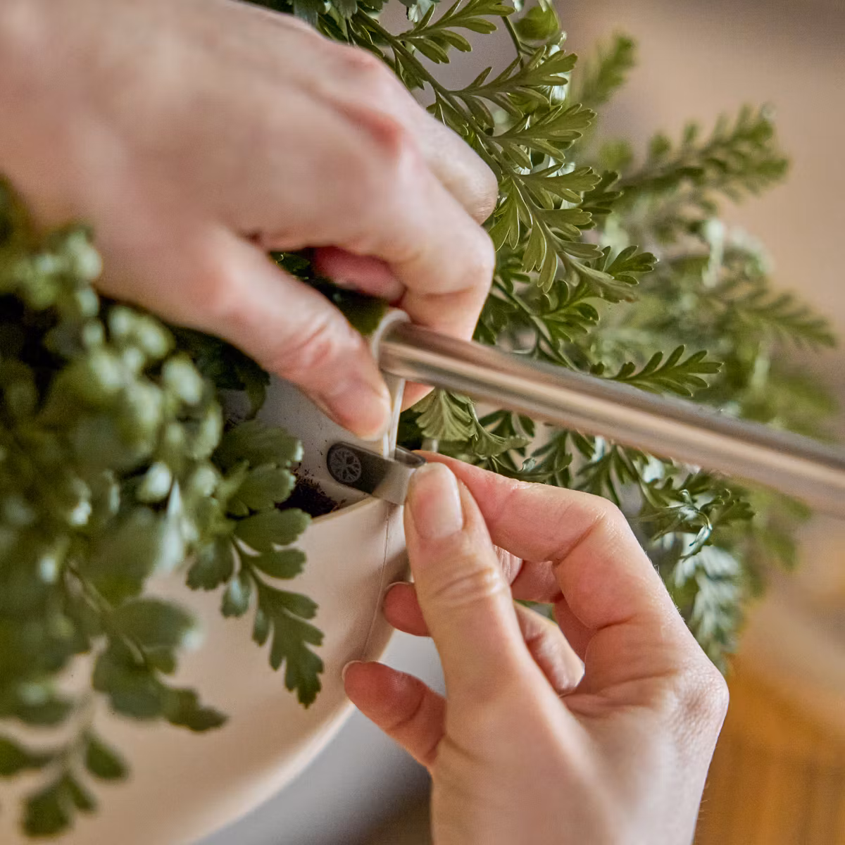 Image 5 of 12 in EMBRACE | Gro Soft Pocket (4l) gallery